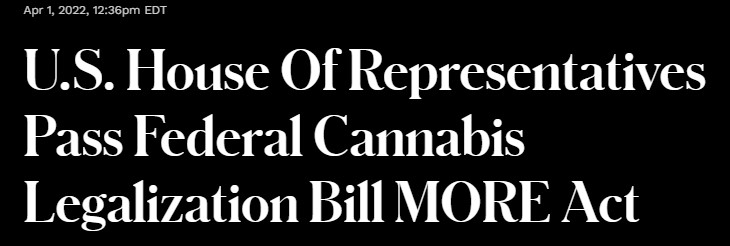 screenshot of Forbes headline: U.S. House of Representatives Passes Federal Cannabis Legalization Bill MORE Act